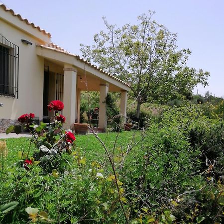 S'Orrosa Casa Vacanze Bifamiliare In Montagna Panorama Stupendo Sardegna Seùlo 外观 照片