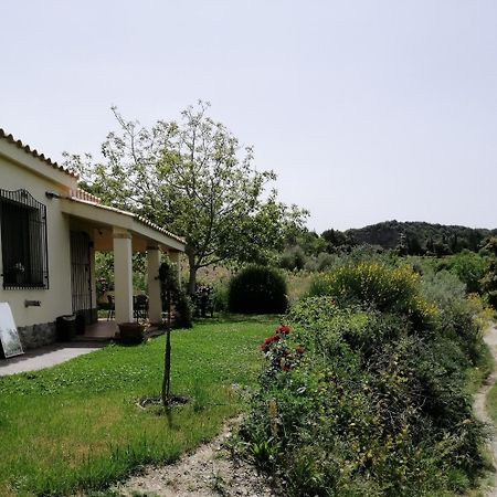 S'Orrosa Casa Vacanze Bifamiliare In Montagna Panorama Stupendo Sardegna Seùlo 外观 照片