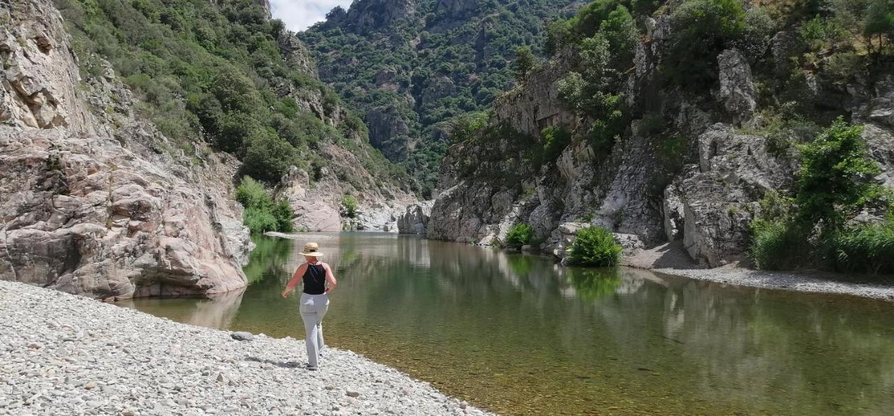 S'Orrosa Casa Vacanze Bifamiliare In Montagna Panorama Stupendo Sardegna Seùlo 外观 照片