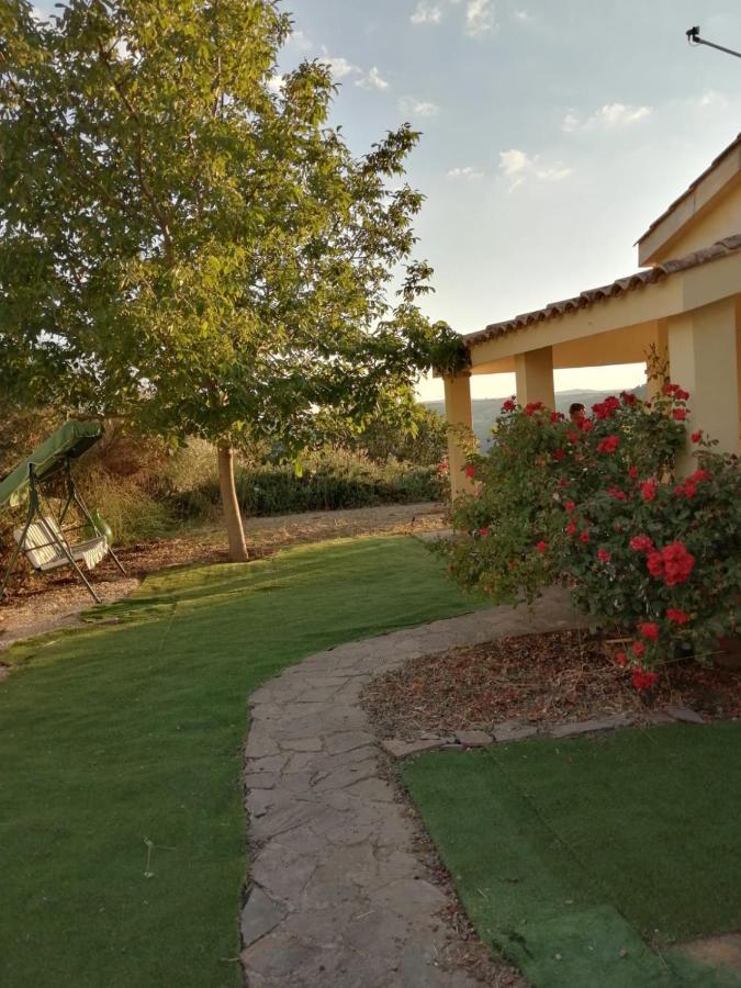 S'Orrosa Casa Vacanze Bifamiliare In Montagna Panorama Stupendo Sardegna Seùlo 外观 照片