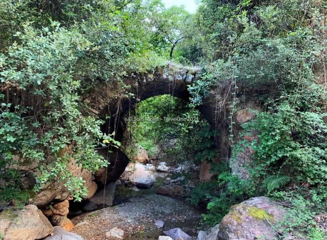 S'Orrosa Casa Vacanze Bifamiliare In Montagna Panorama Stupendo Sardegna Seùlo 外观 照片