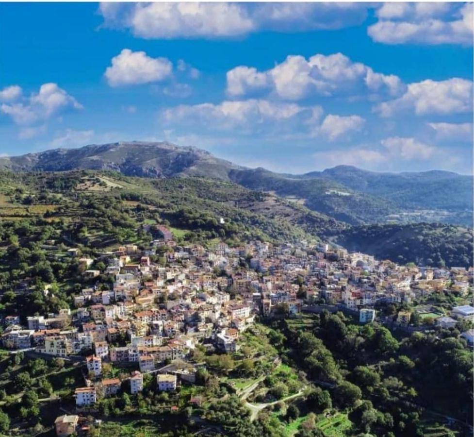 S'Orrosa Casa Vacanze Bifamiliare In Montagna Panorama Stupendo Sardegna Seùlo 外观 照片