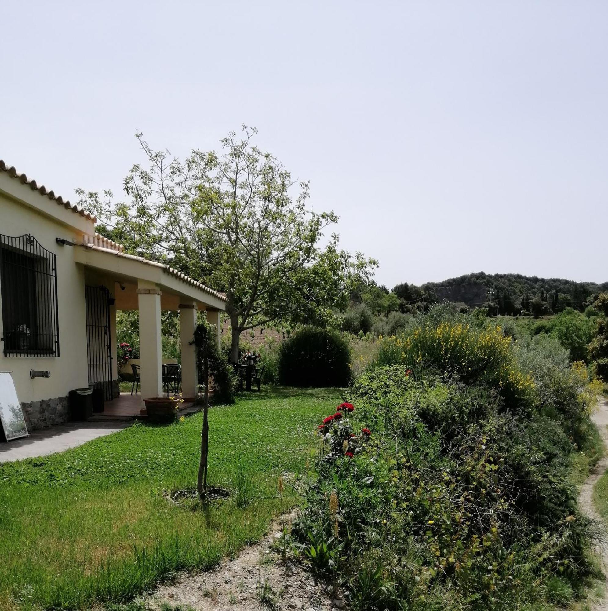 S'Orrosa Casa Vacanze Bifamiliare In Montagna Panorama Stupendo Sardegna Seùlo 外观 照片