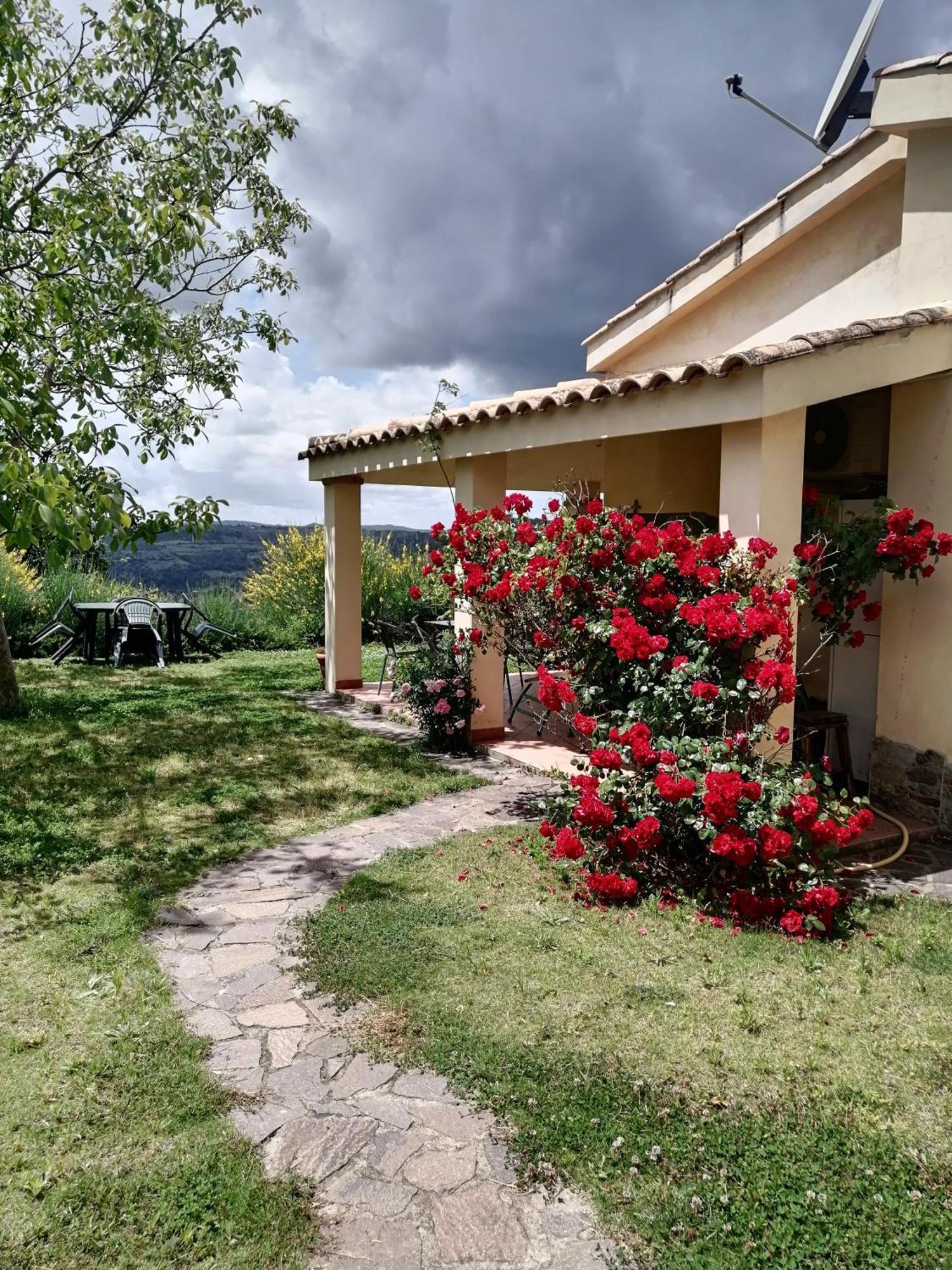 S'Orrosa Casa Vacanze Bifamiliare In Montagna Panorama Stupendo Sardegna Seùlo 外观 照片