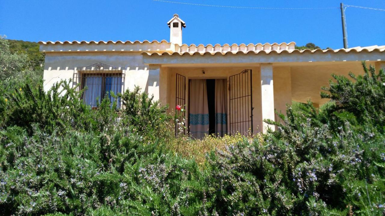 S'Orrosa Casa Vacanze Bifamiliare In Montagna Panorama Stupendo Sardegna Seùlo 外观 照片