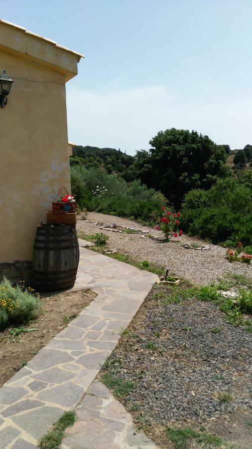 S'Orrosa Casa Vacanze Bifamiliare In Montagna Panorama Stupendo Sardegna Seùlo 外观 照片