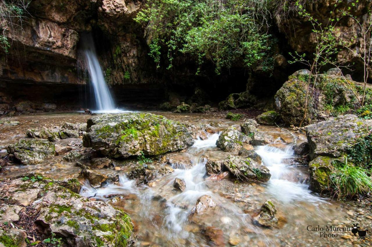 S'Orrosa Casa Vacanze Bifamiliare In Montagna Panorama Stupendo Sardegna Seùlo 外观 照片