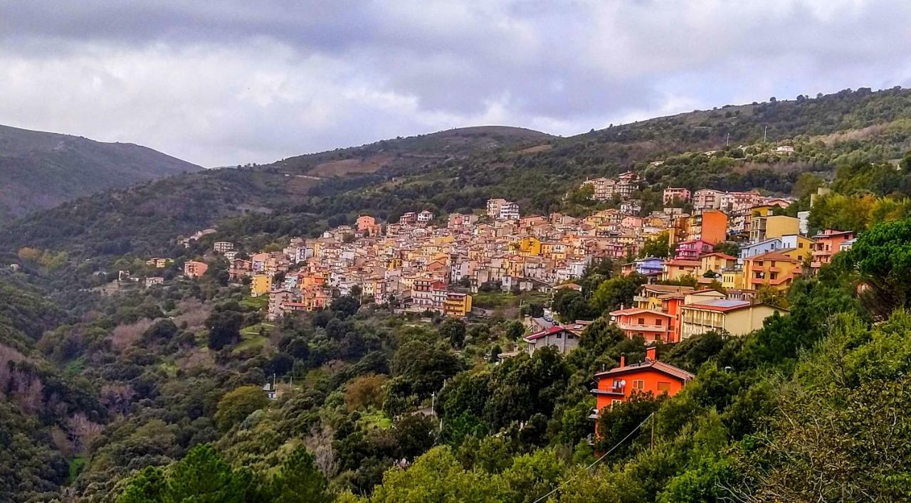 S'Orrosa Casa Vacanze Bifamiliare In Montagna Panorama Stupendo Sardegna Seùlo 外观 照片