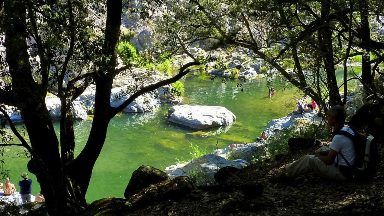 S'Orrosa Casa Vacanze Bifamiliare In Montagna Panorama Stupendo Sardegna Seùlo 外观 照片