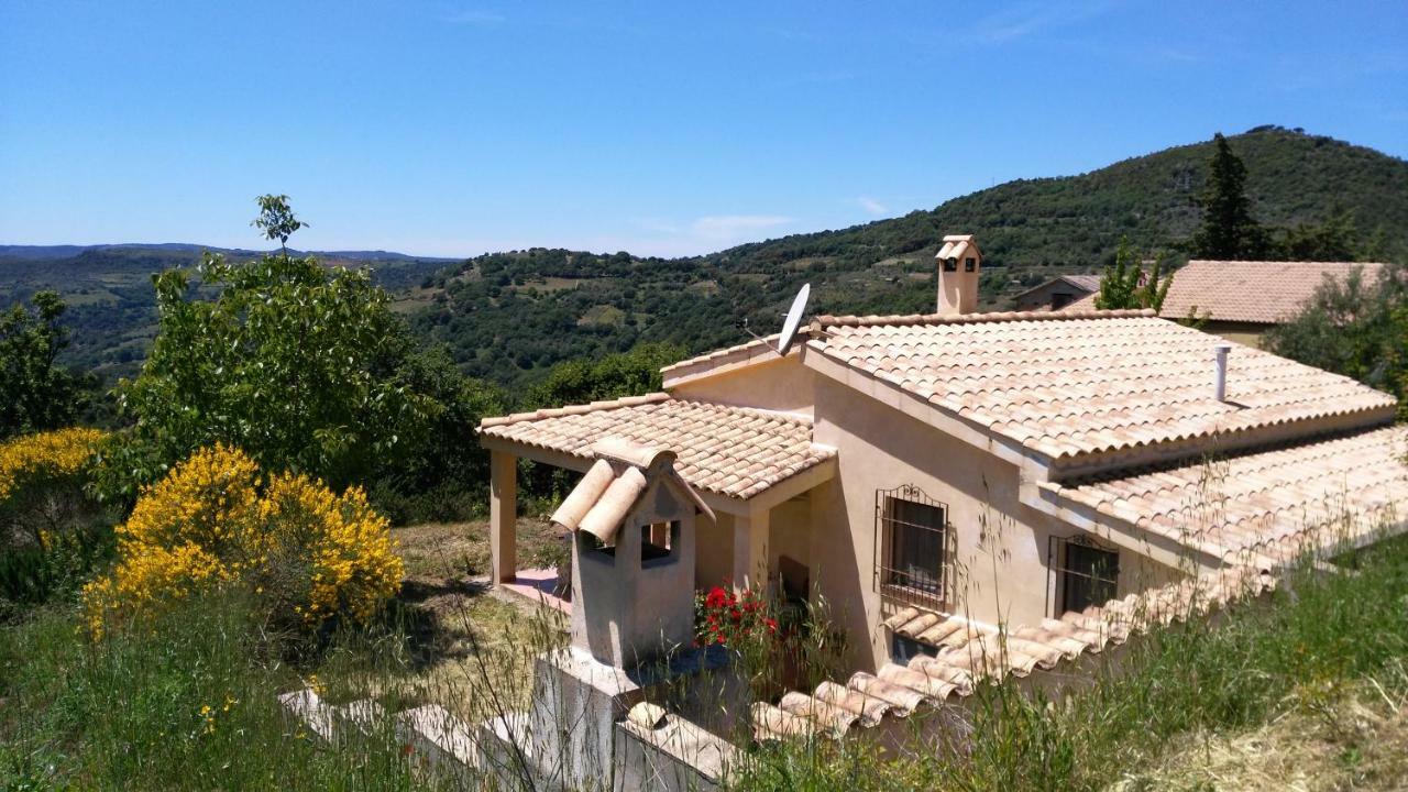 S'Orrosa Casa Vacanze Bifamiliare In Montagna Panorama Stupendo Sardegna Seùlo 外观 照片