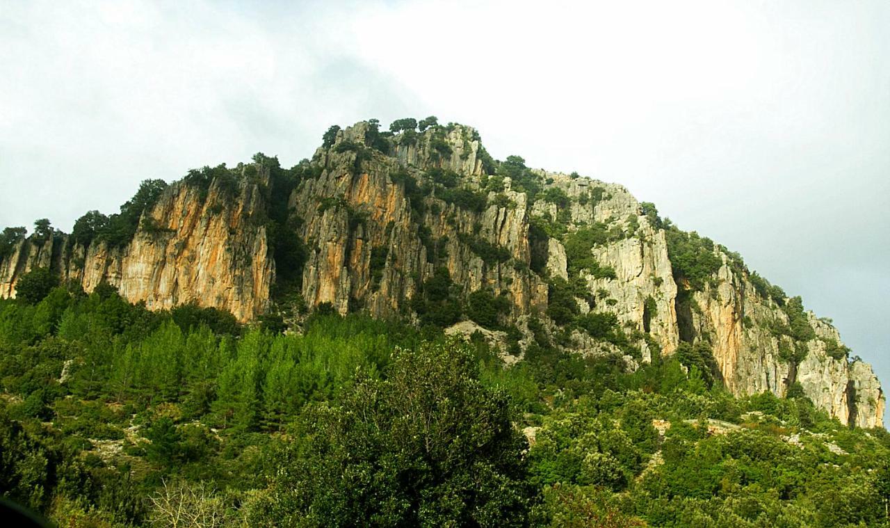 S'Orrosa Casa Vacanze Bifamiliare In Montagna Panorama Stupendo Sardegna Seùlo 外观 照片