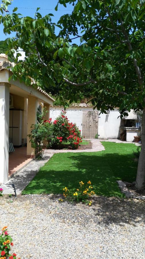 S'Orrosa Casa Vacanze Bifamiliare In Montagna Panorama Stupendo Sardegna Seùlo 外观 照片